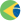 Português Brasil